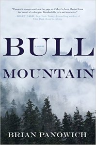 Bull Mountain  by Brian Panowich 
